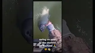 My First Buffalo Fish Was Huge