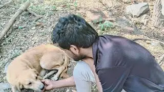 🍗🍗🍲🍲🐕🐕🐕dog eating #animallover#doglover #helptheanimals