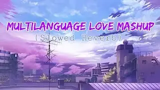 Multilanguage Love Mashup (SlowedReverb) | Monak Darbar | Tamil Mashup | Telugu Mashup | English etc