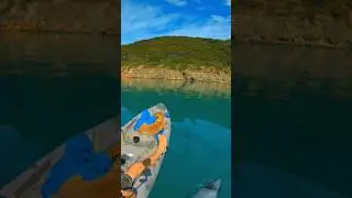 Rare Dolphin species checks us out