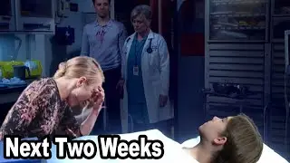 Days of Our Lives Spoilers Next 2 Weeks: November 3 to 14, 2025 /DOOL Next Two Weeks
