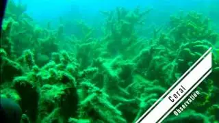 Wakatobi miniROV