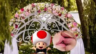Mario and Peach wedding