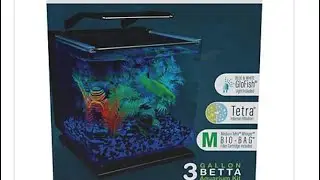 Glo Fish Betta 3 gallon tank starter kit review
