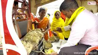 Gau Daan, Bhandara & Pen-Copy Distribution | NRI Charity Magh Mela 2026 | Prayag Pandits