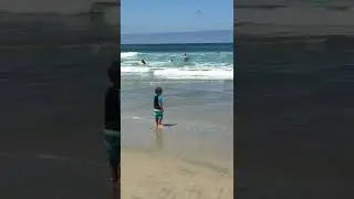 Summer  Victoria 2016 part 6