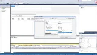 The report server at ' 