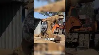 ПАКИСТАНЦЫ купили новый МИСТЕРИ-контейнер😨🔥🚜