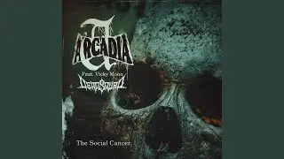 The Social Cancer