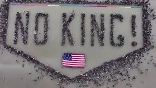 The Best Scenes and Signs from No King Day Protests