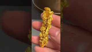Crystallized Gold Specimen At Its Finest #shortsvideo #shorts