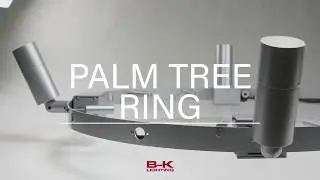 B-K Snapshot: Palm Tree Ring