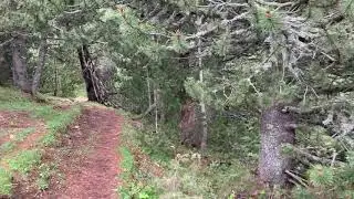 Kroi Kinz&euml;s, Koritnik , rrethi Kuk&euml;sit