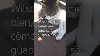 El Marqu&eacute;s y Grande de Espa&ntilde;a, Bananito,es guapo hasta llegar al Metaverso☺️❤️😂