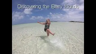 Sharks on a plane || The Berry Islands