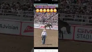 unbelievable calgary stampede rodeo / horse racing amazing / greatest outdoor show