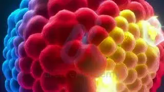 Convolutional Neural Networks (CNNs) are transforming how we understand protein structures.
