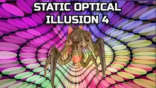 STATIC OPTICAL ILLUSION 4. OPTICAL EFFECT.