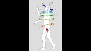 Understanding Chakras-Color-Frequency-Vibration-Function