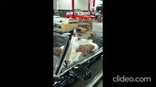 The Bad Guys 2 | Foot Stomp | Promo 56