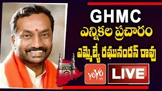 Dubbaka MLA Raghunandan Rao GHMC Election Campaign Live | GHMC Elections 2020 | BJP Vs TRS | YOYO TV