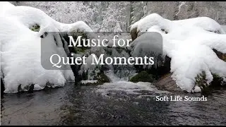 Soft Life Sounds | Peaceful Background Music for Journaling, Rest & Quiet Moments