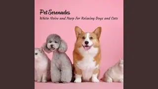 Soothing Whispers A Pet's Harmony