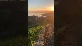 Glorious Splendor: Captivating Sunsets in the Vineyards of Montreux #shorts #switzerland
