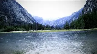 The Midnight Reservoir (SCP: Missing in Action OST)