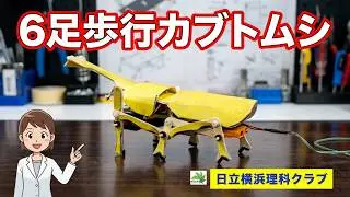 6足歩行リモコンロボット カブトムシ （理科工作教材）日立横浜理科クラブ