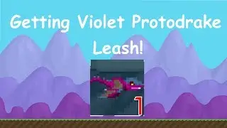 Getting Violet Protodrake Leash (2016, Last Summerfest!)