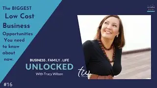 #16 - UNLOCKED: The BIGGEST Low Cost Business Opportunities You need to know about now.