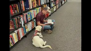 Meet Andy | Mobility Support Dog In Training