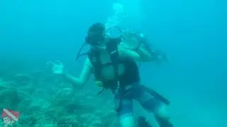 Waikiki Scuba - vlog 247