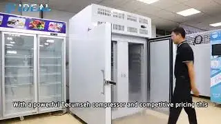 Ideal Freezer IQF Plate Freezer | Powerful Air-Cooling & Sliding Tray Fast Freezing