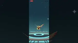 Nincade evolve
