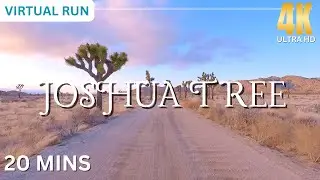 JOSHUA TREE &bull; Virtual Running Workout 4K 20 Minutes