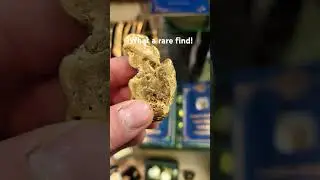 The $10,000 Gold Nugget. | Yukon territory natural gold nugget | #gold #goldnugget #goldmine