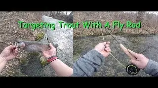 Targeting Trout | New Fly Rod | Bennett Spring