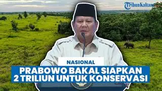 Prabowo Bakal Gelontorkan Rp 2 Triliun untuk Way Kambas, Dorong Konservasi dan Reforestasi