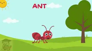 Learn Bugs 🪲 Preschoolers | Mini Scholars Playground
