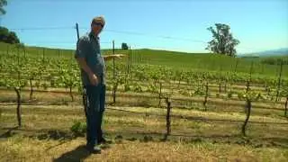 Pfendler Winemaker Greg Bjornstad Talks Winemaking | Block122TV