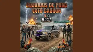 Los gallos de. Tzanjon momostenango