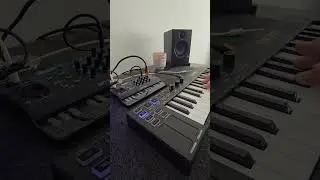 Behringer Pro VS+Swing//Sawstring//Sky 5000+reverb+dig #ambient #synth #shorts #experimental
