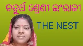 Class 4 English The nest 📚📚📚📚📚📚📚📚📚📚📚📚📚📚📚📚📚📚📚📚📚📚📚📚📚📚📚📚📚📚