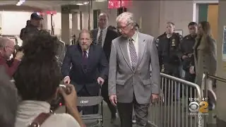 Harvey Weinstein Trial: Former Production Assistant Takes Stand