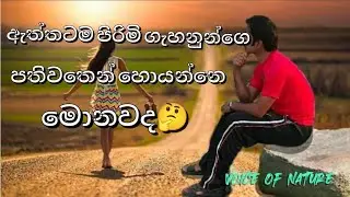 කොල්ලො හොයන පතිවත  #sinhala #srilanka #education #gossip #love #social #doctor #problem #virigine