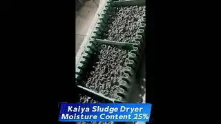 Kayia Sludge Dryer Shanghai Drying Project 25% moisture content
