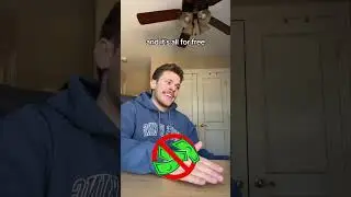 Бесплатные онлайн-курсы по христианству и Библии 👀 #шорты
