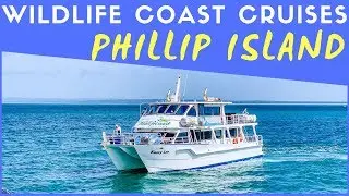 Phillip Island Wildlife Coast Cruises - Australian Fur Seal Capital